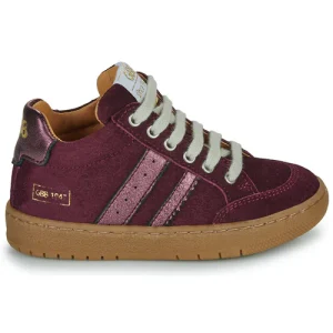 ACCEUILLANT GBB violet