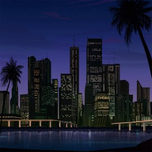 Soul Intellect & Alcynoos – Westhome (Vinyle LP White)